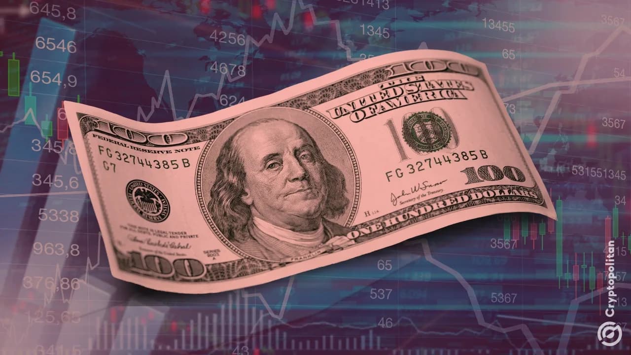 Doların Haftalık Kaybı, 2025'in En Kötüsü Olmaya Aday
