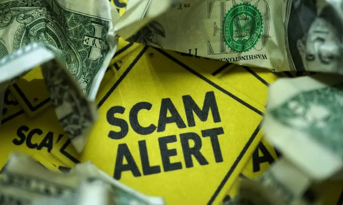 ZachXBT, Haby'nin Kripto Dolandırıcılığını Açıkladı