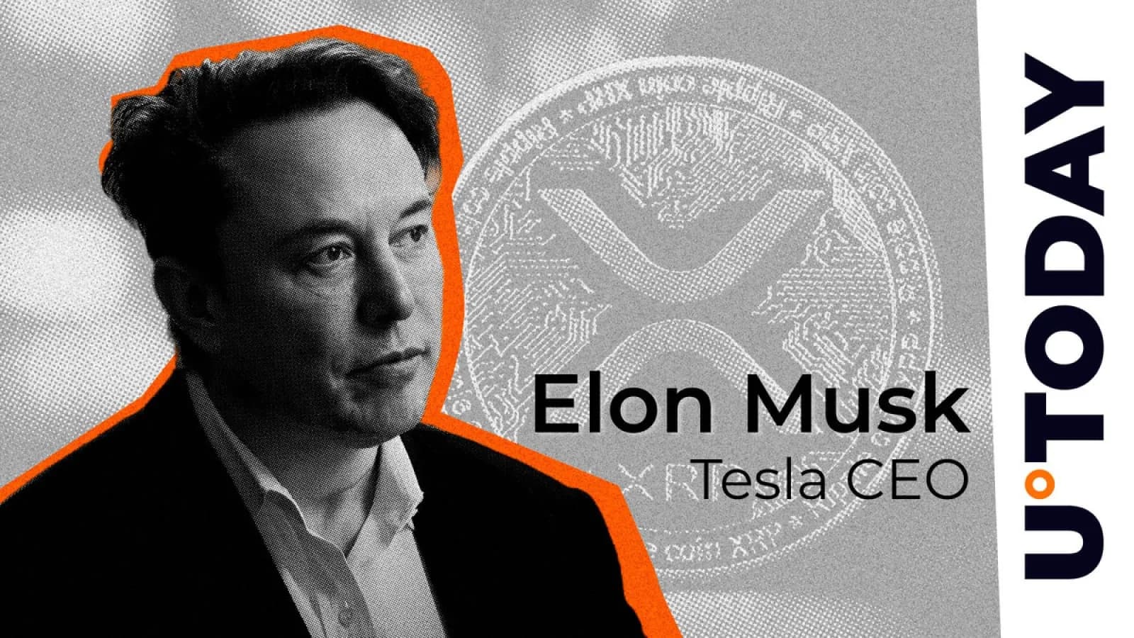 XRP, TSLA ve GME Elon Musk'ın X Platformunda Popüler Aramalar Arasında