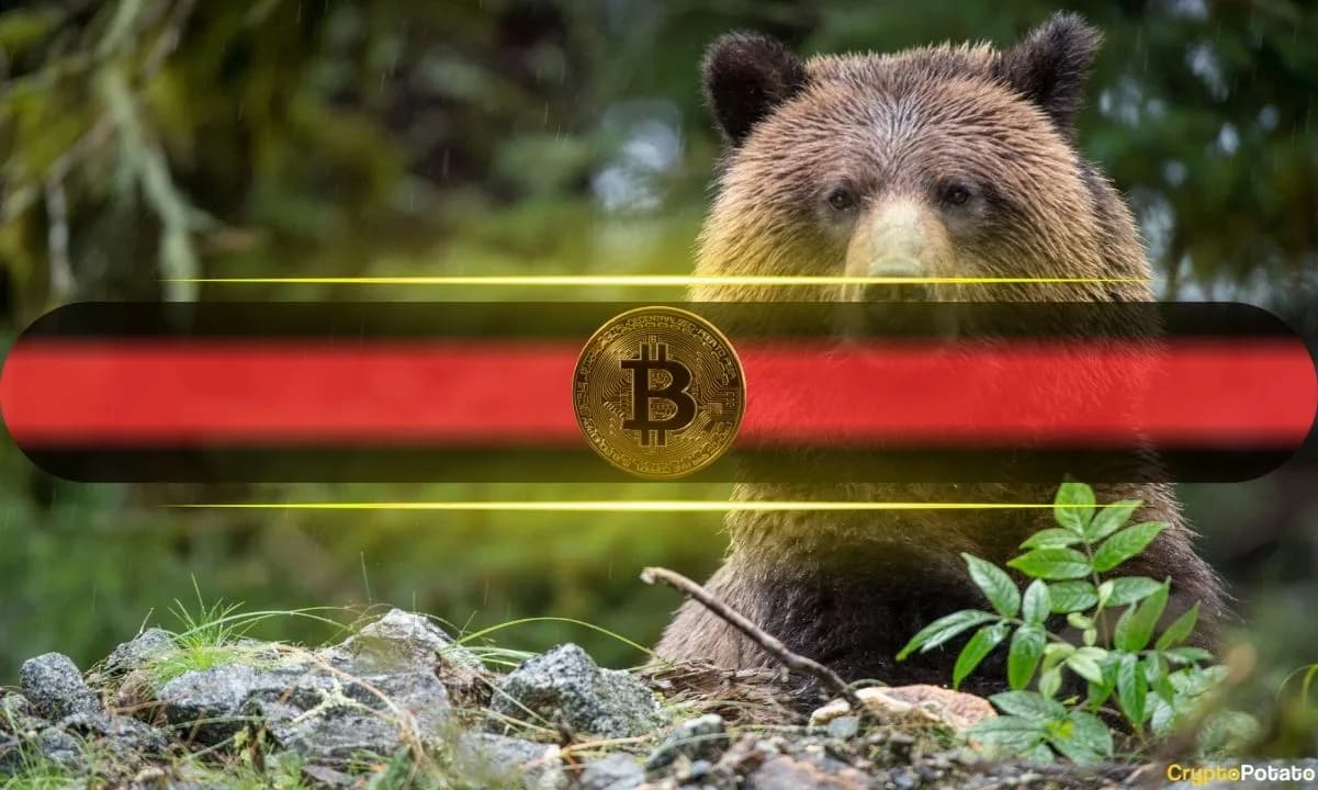 Bitcoin Piyasası: Uzmanlar Düşüşün Devam Edeceğini Belirtiyor