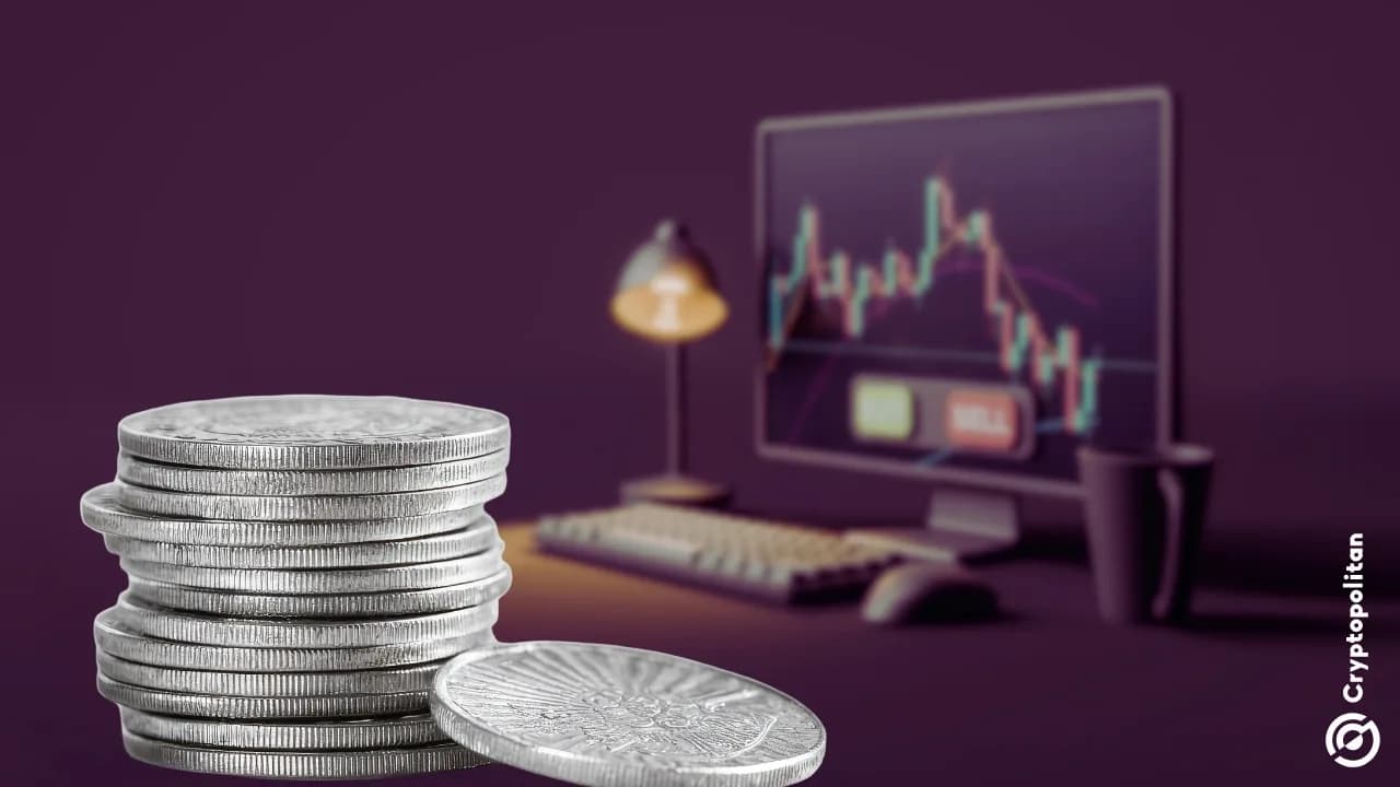 Perakende Yatırımcılar Gümüş ETF'sine 430 Milyon Dolar Yatırdı