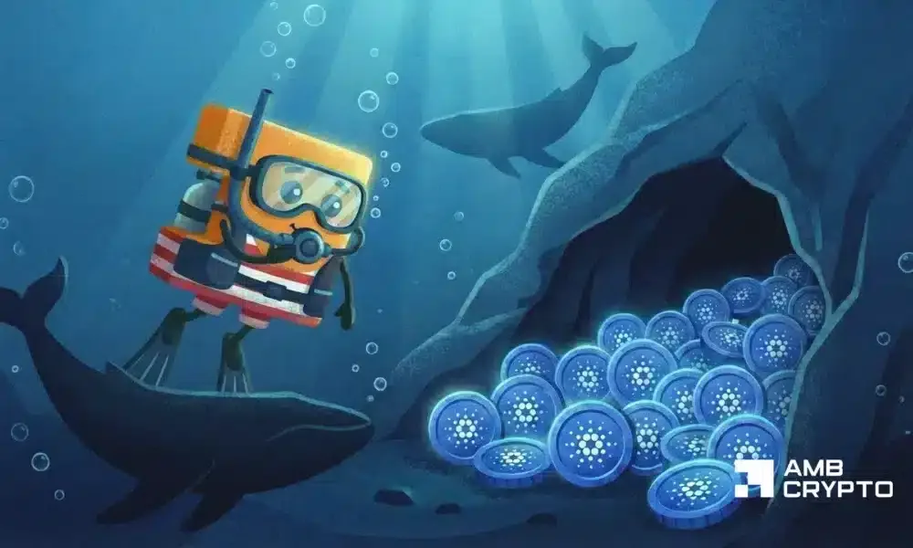 Cardano Balinaları ADA Fiyatını Nasıl Şekillendiriyor?