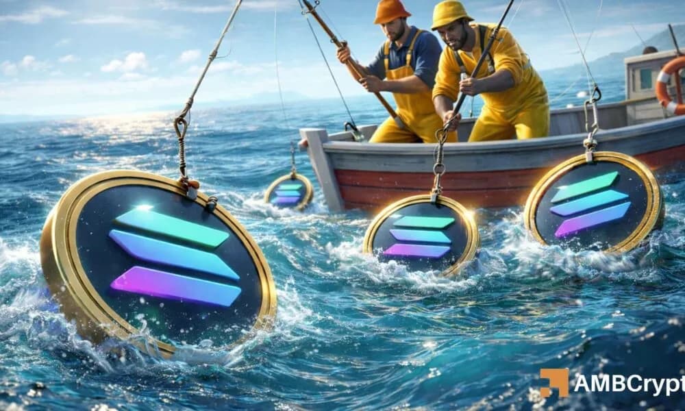 Solana, Likidite Patlamasıyla Gücünü Yeniden Kazandı