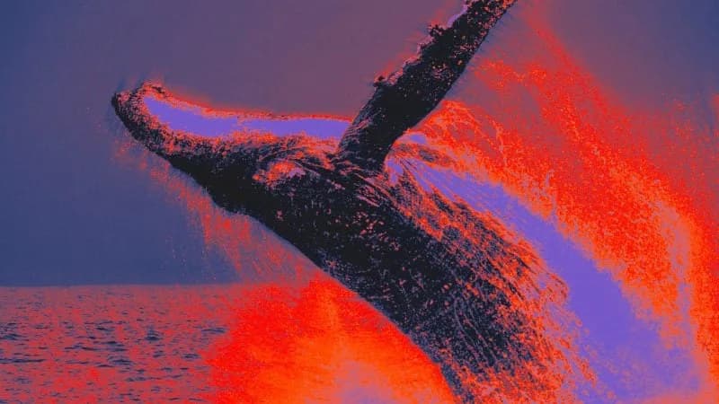 Büyük Yatırımcı 111 Milyon Dolar Değerinde Ethereum Aldı