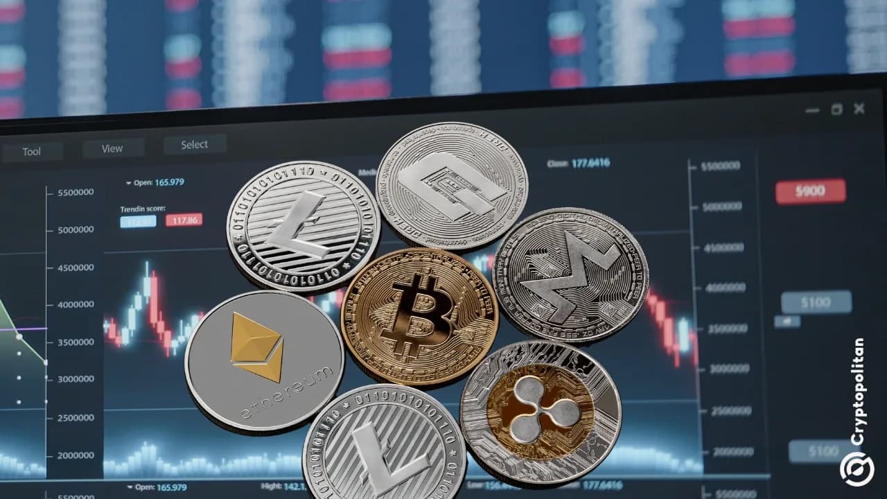 Altcoin Pazarında Farklı Yönelimler: Kısa ve Uzun Pozisyonlar